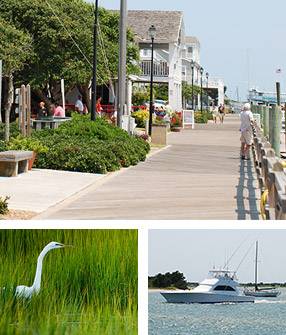 Beaufort image