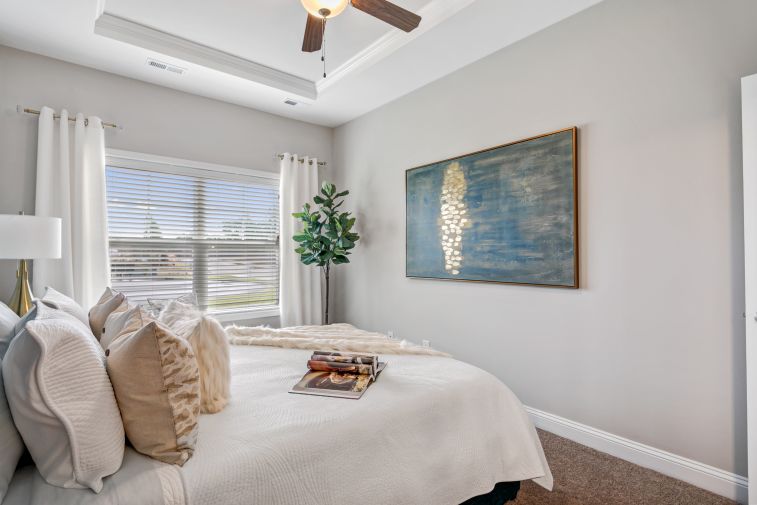 1809 Live Oak Images