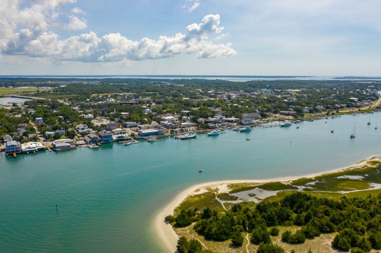 1809 Live Oak Images