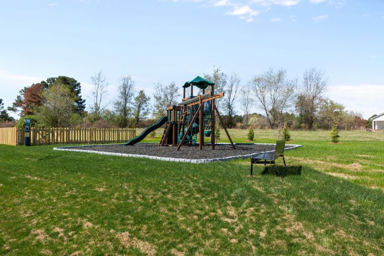 Ducks Landing Images