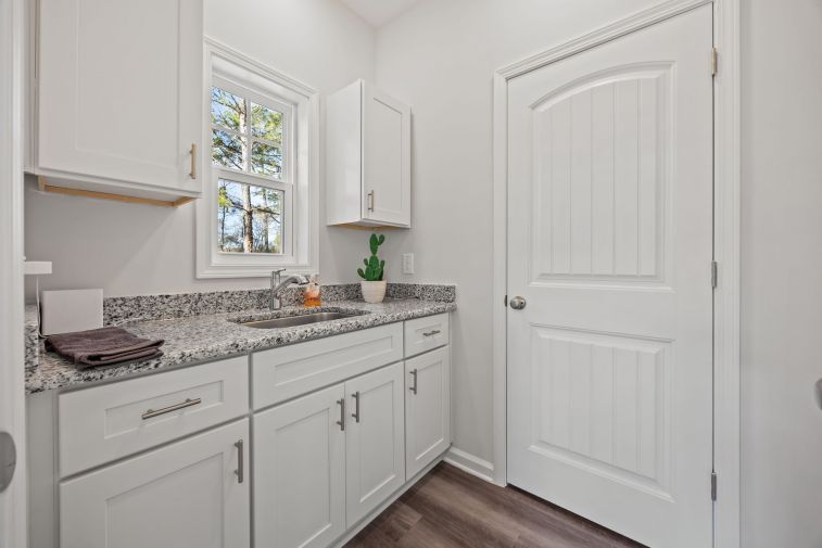 Ducks Landing Images