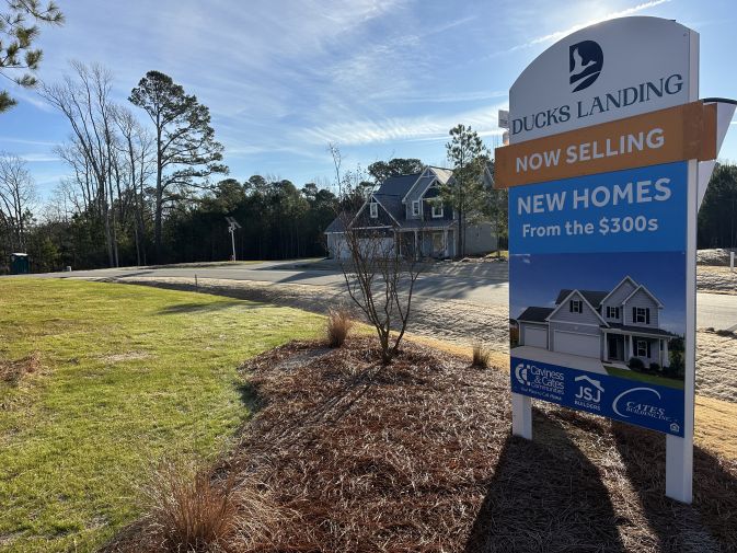 Ducks Landing Images