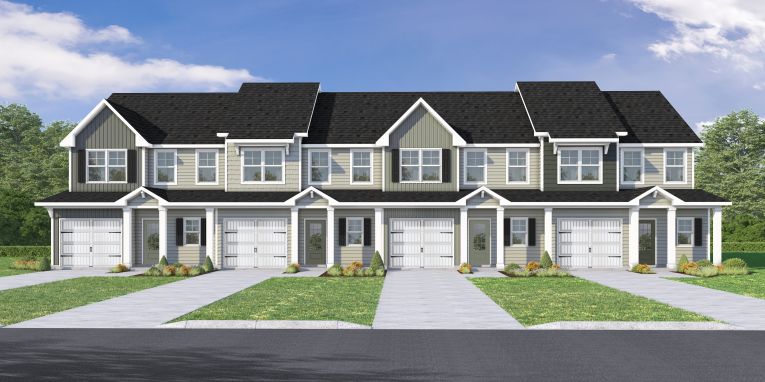 1809 Live Oak Images